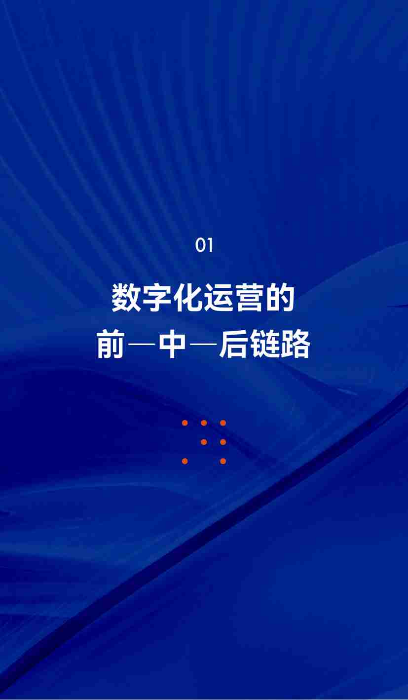 2024数字化运营增长指南3.0-企业数字化案例深度解析  .pdf-4-预览