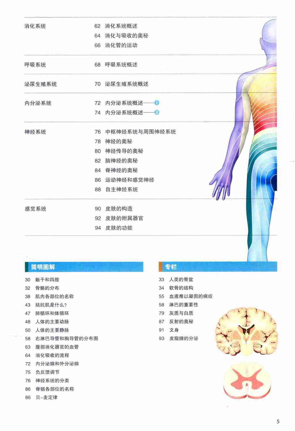 全新·3D人体解剖图_坂井建雄_河北科技_全彩扫描版.pdf-4-预览