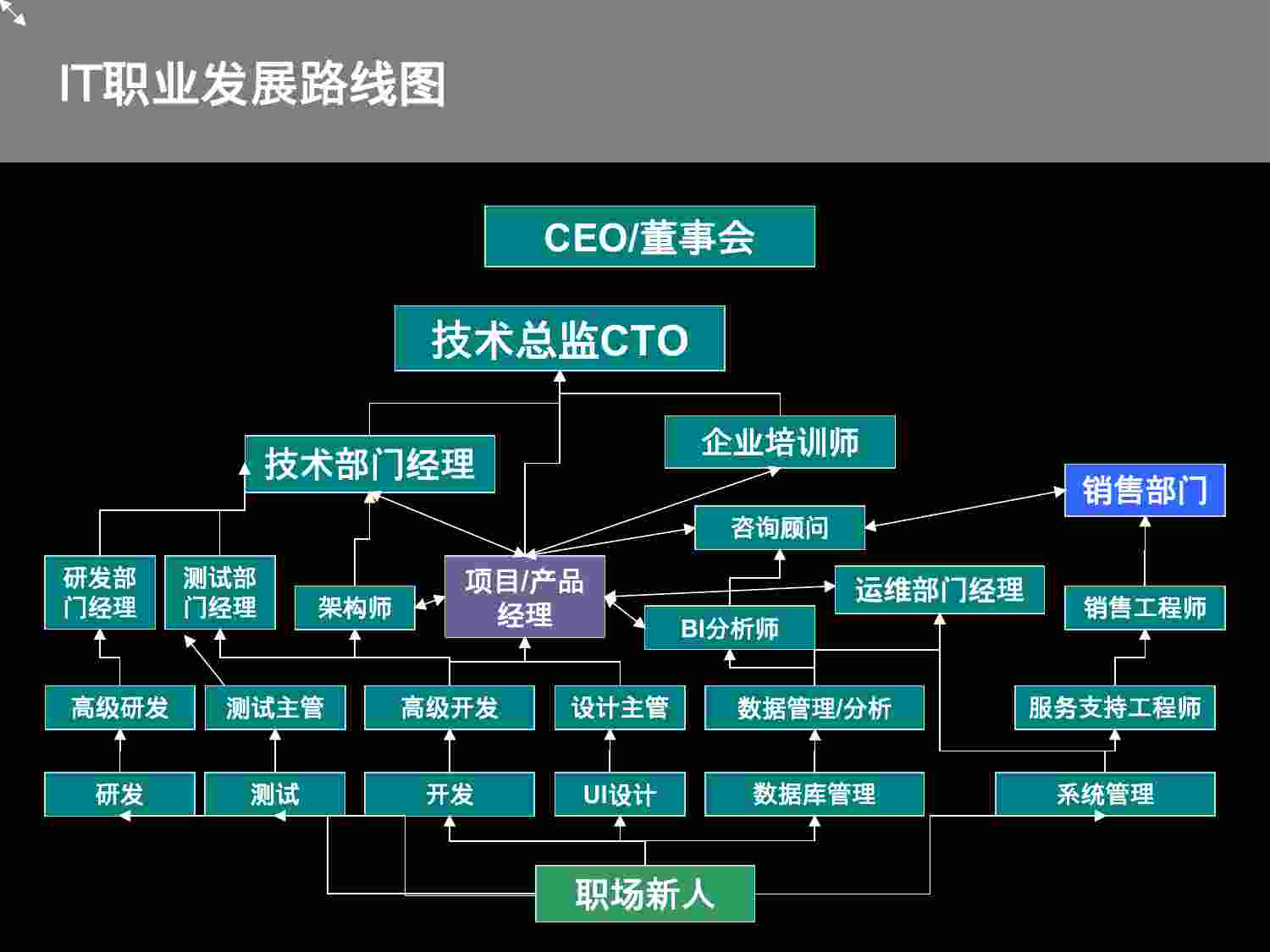 IT职业规划.ppt-4-预览