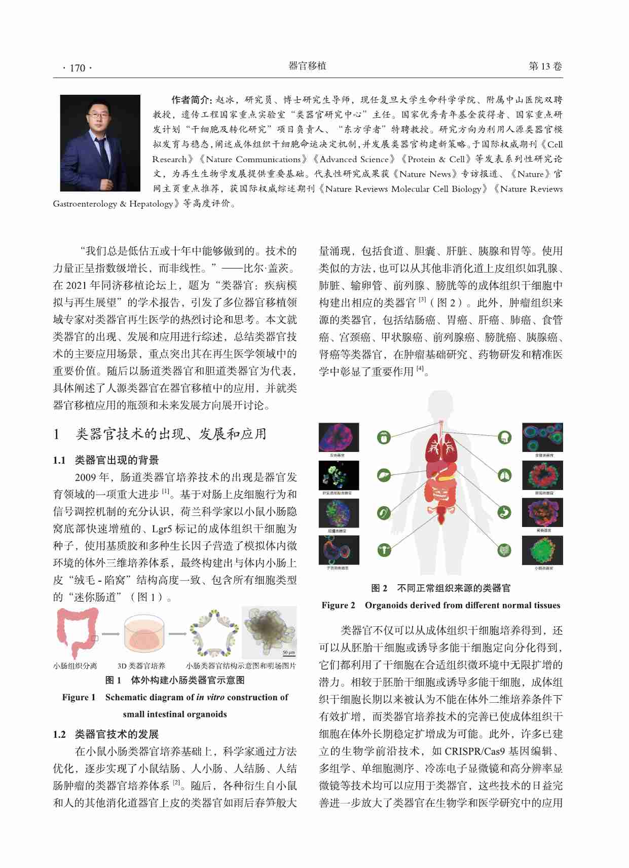 类器官在器官移植领域的应用前景.pdf-1-预览