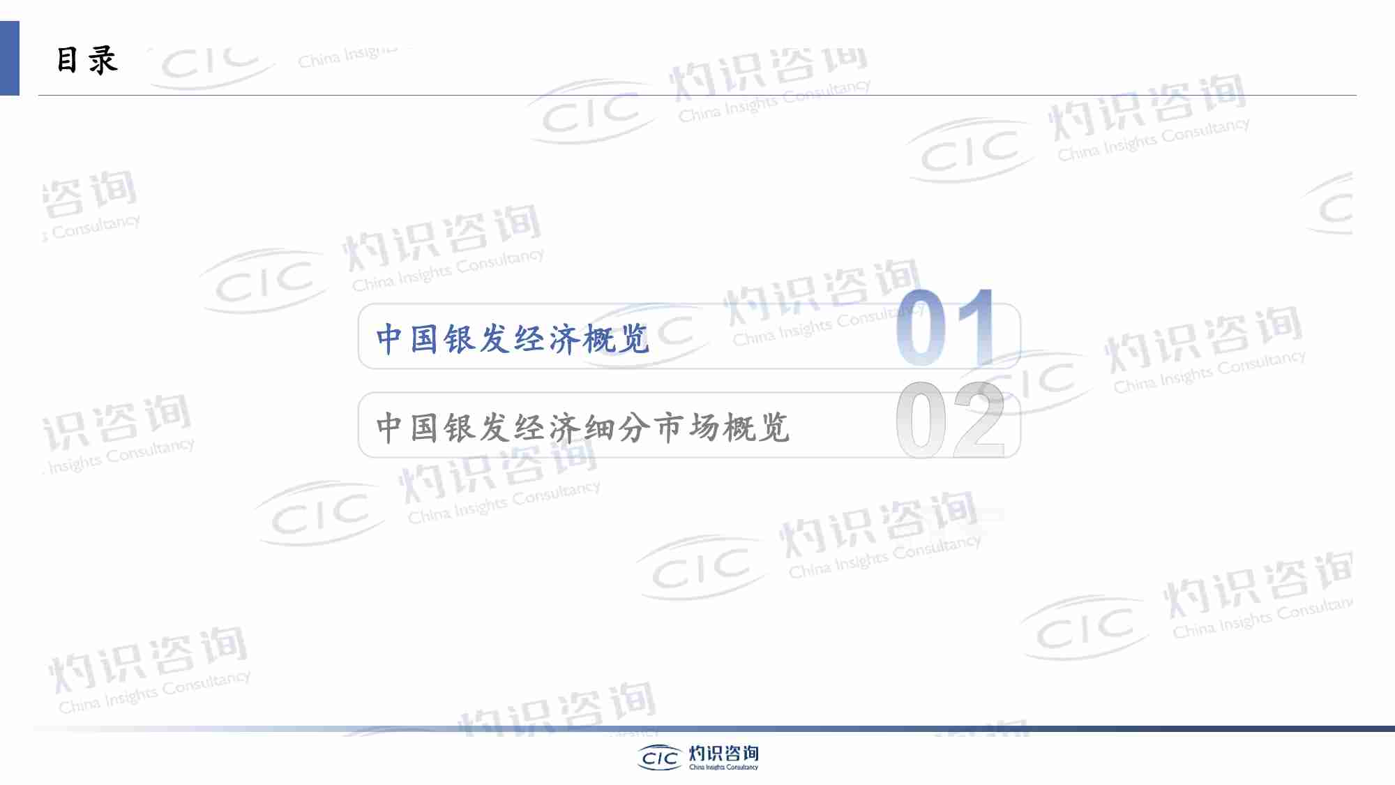 银发经济蓝皮书_CIC灼识咨询.pdf-3-预览