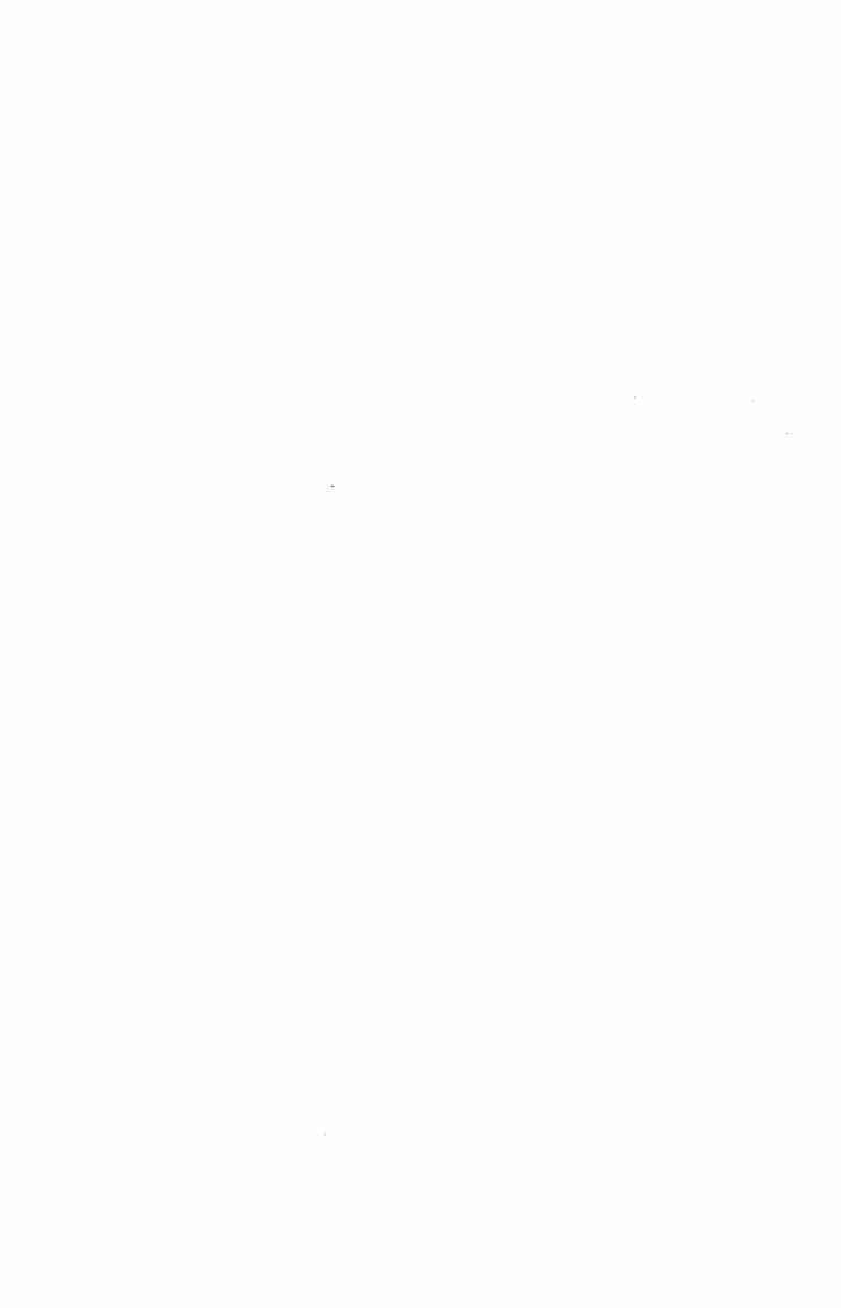 《会评会校本金瓶梅》（下册）.秦修容.中华书局.1998.pdf-4-预览