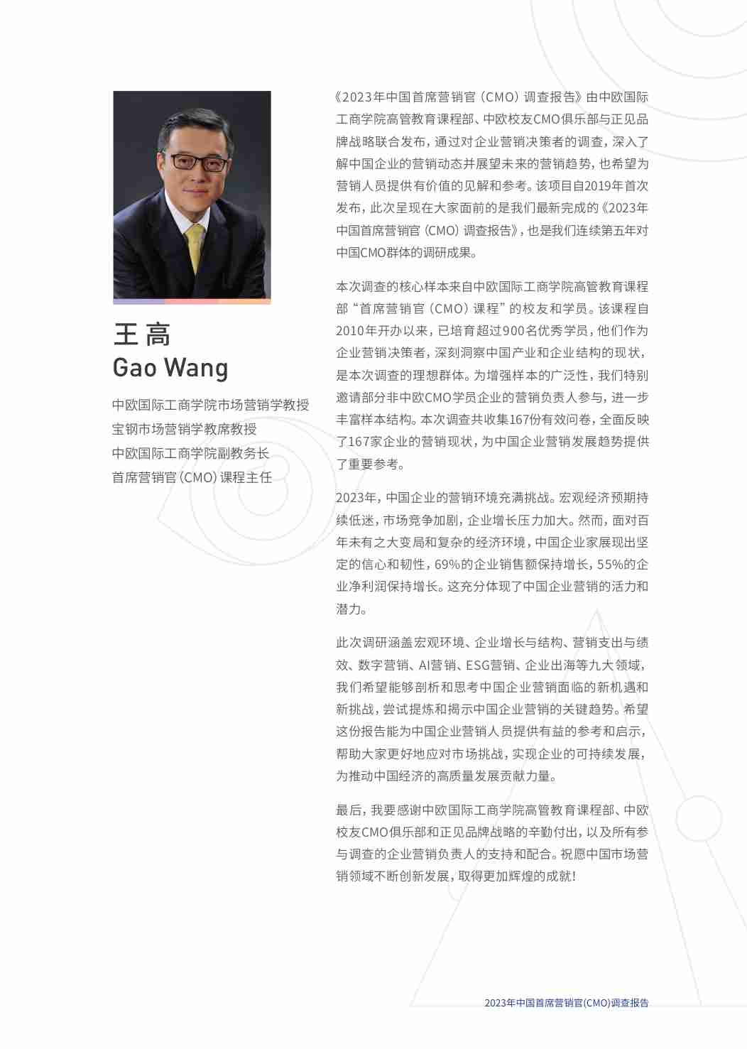 2023年中国首席营销官（CMO)调查报告.pdf-2-预览