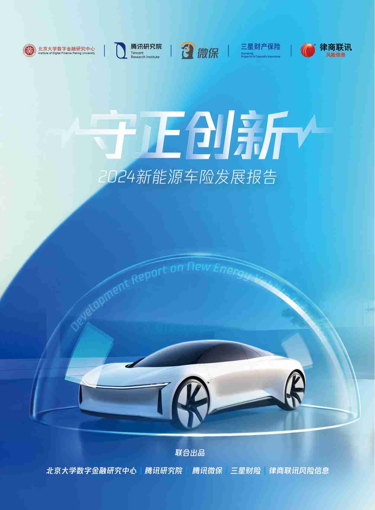 2024新能源车险发展报告.pdf-0-预览