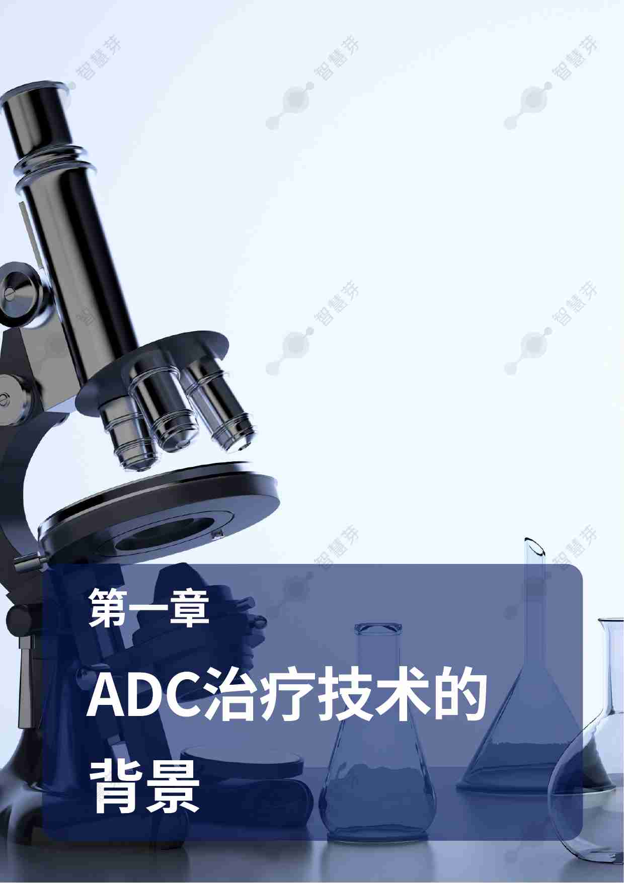 抗体-药物偶联物 ADC研发中的最新技术和知识产权趋势 202410.pdf-3-预览