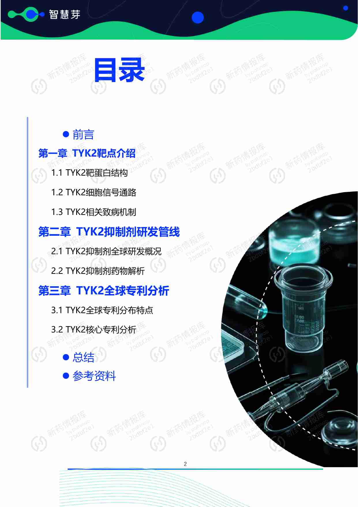 TYK2抑制剂药物研发及专利调研报告.pdf-2-预览