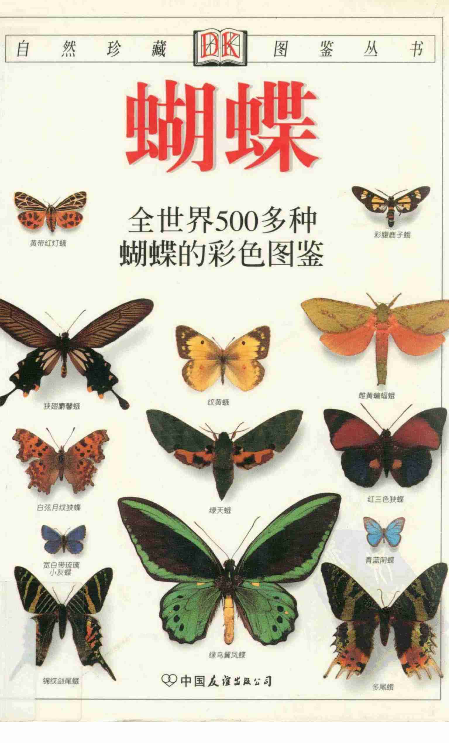 [蝴蝶：全世界500多种蝴蝶的彩色图鉴].大卫卡特.全彩版.pdf-0-预览