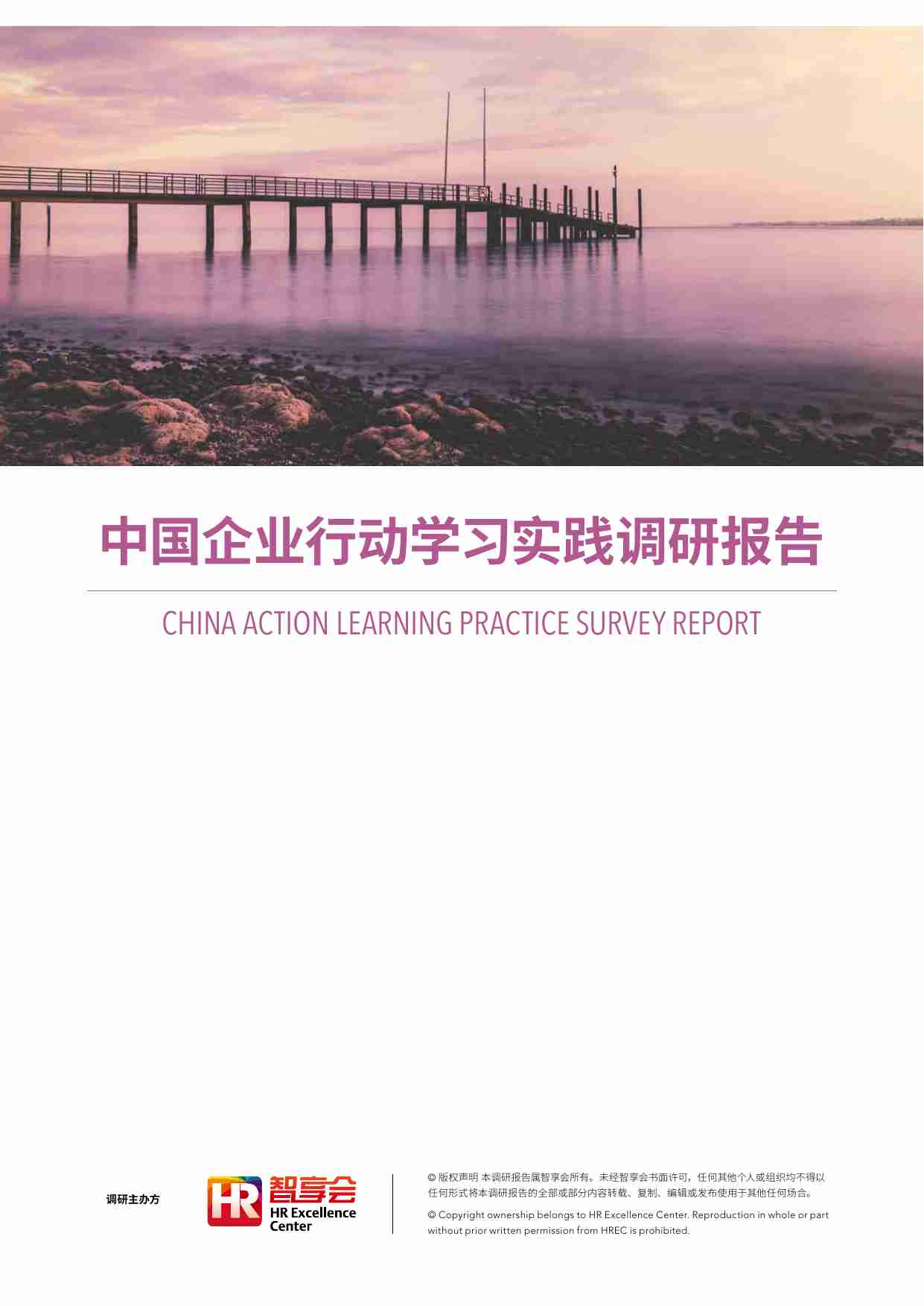 2024 中国企业行动学习实践调研报告.pdf-0-预览