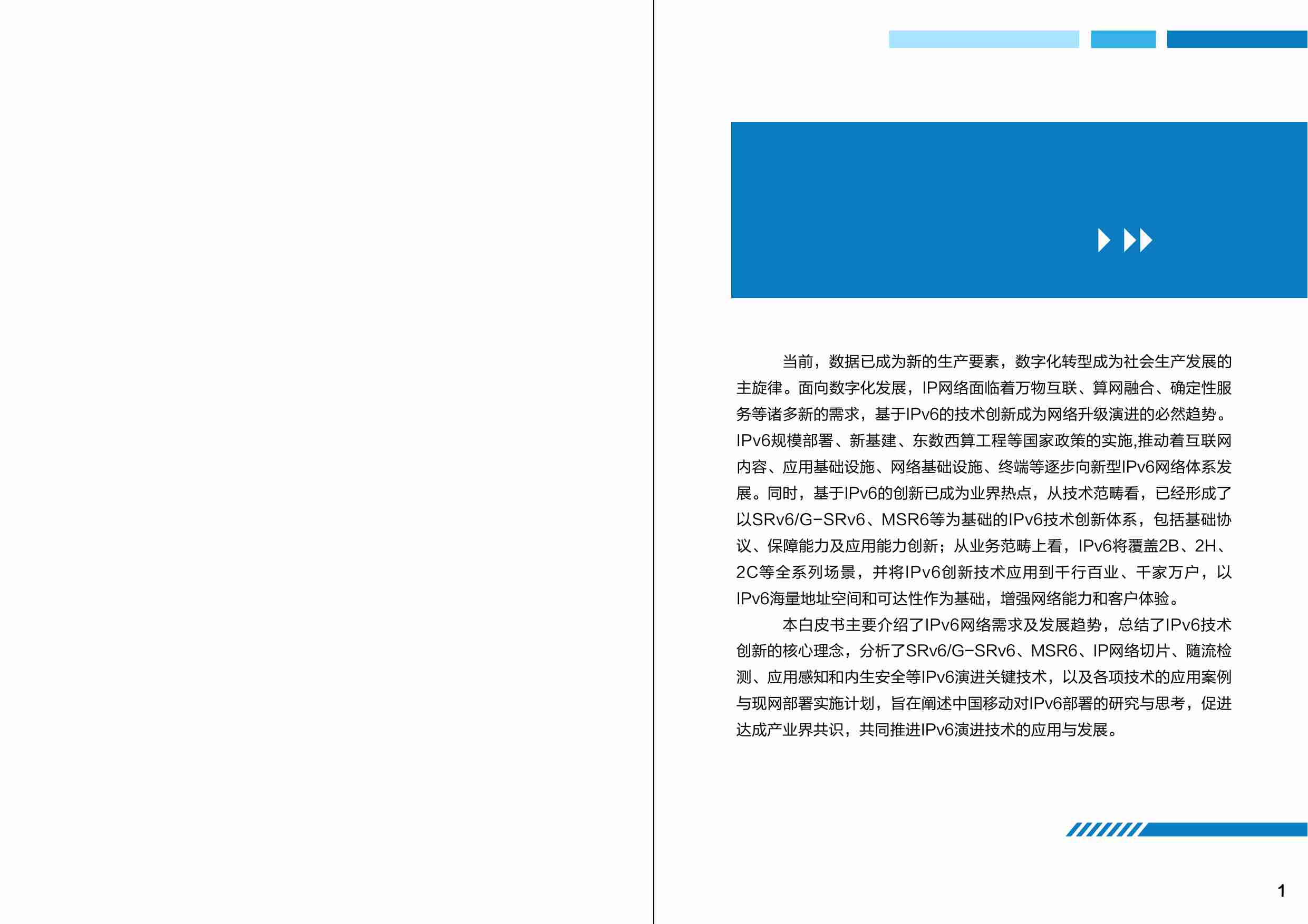 中国移动IPv6技术演进及应用白皮书 2023.pdf-2-预览