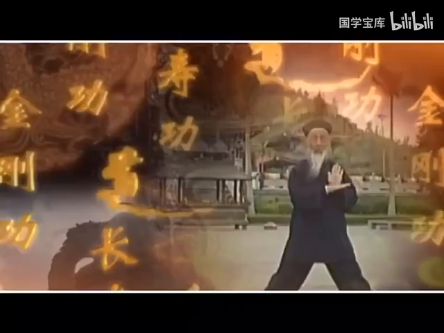 百岁真人张至顺道长：教金刚功、长寿功、脉理.mp4-0-预览