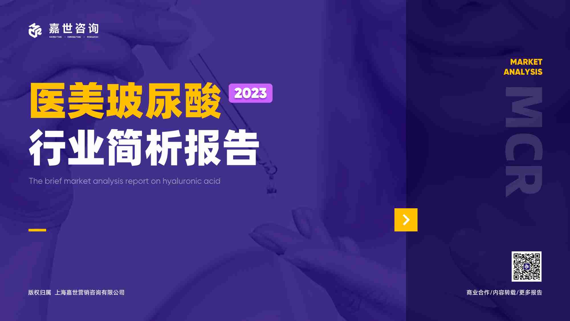 嘉世咨询：2023医美玻尿酸行业简析报告.pdf-0-预览