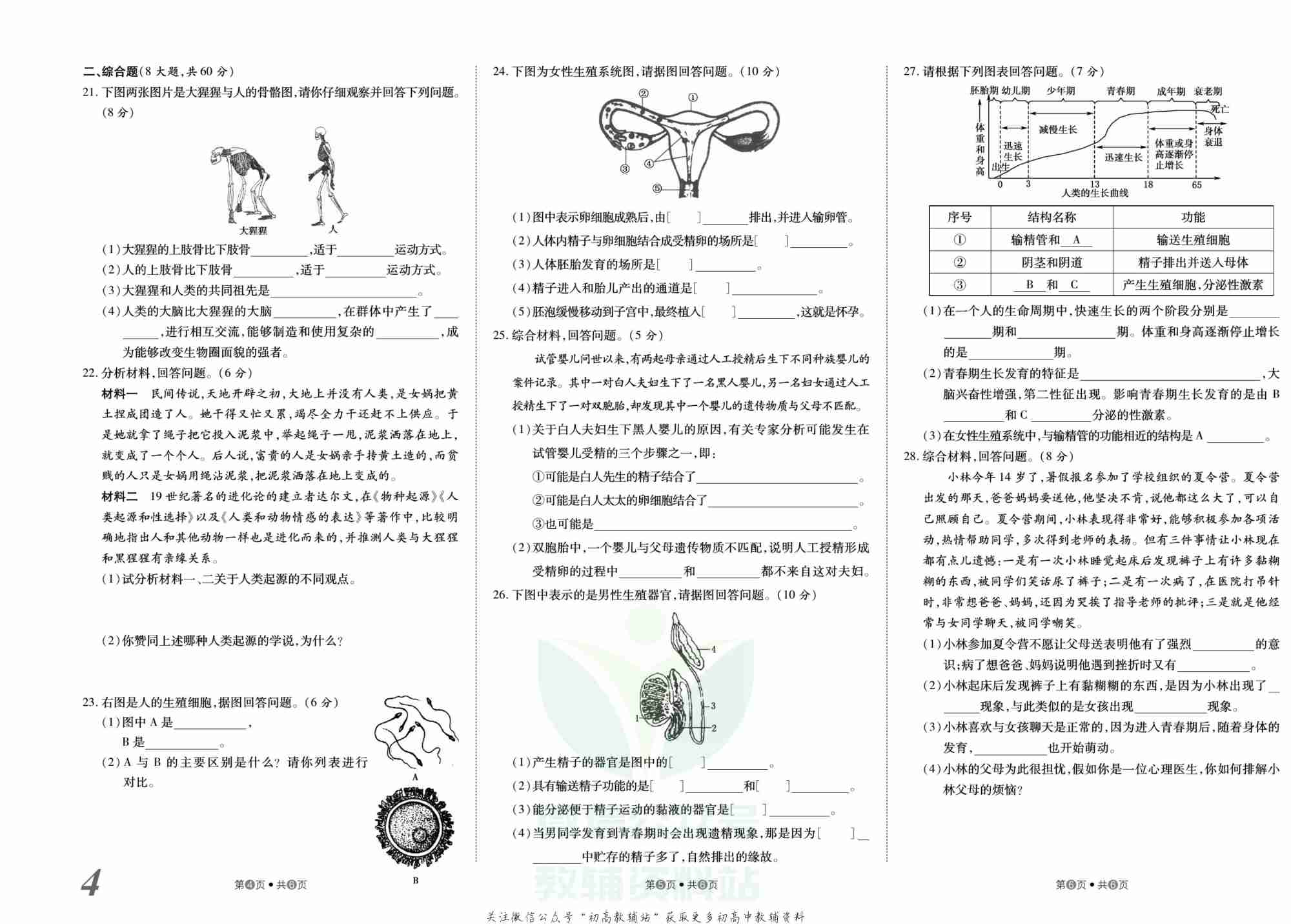 金状元·提优好卷七年级下册生物人教版山西专用.pdf-4-预览