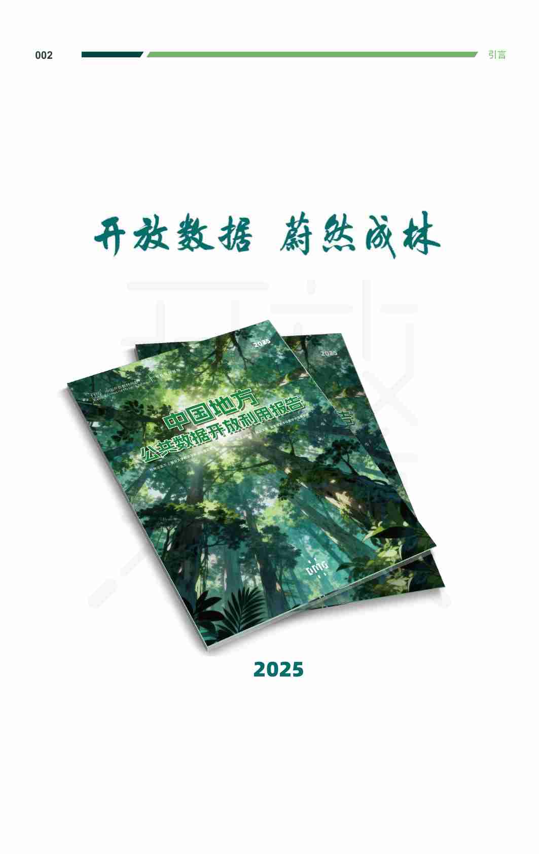 2025中国地方公共数据开放利用报告.pdf-4-预览