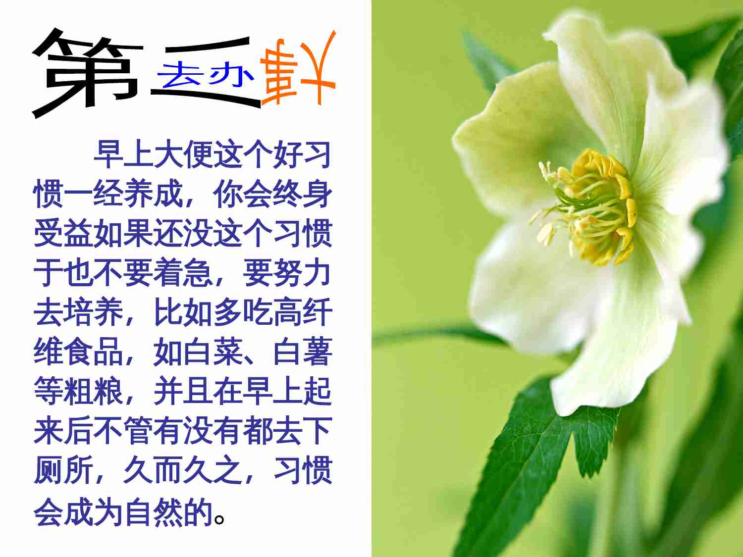 《45个能使你长命百岁的好习惯》幻灯片.ppt-4-预览