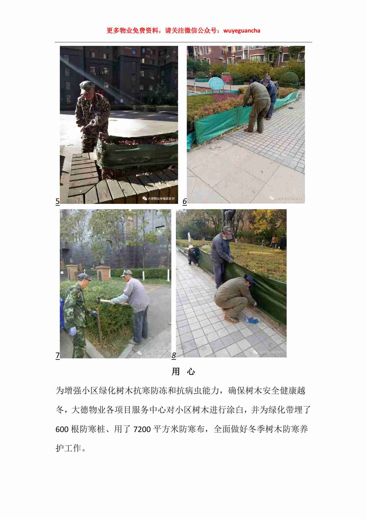 01 大德物业用爱温暖整个冬季.pdf-4-预览