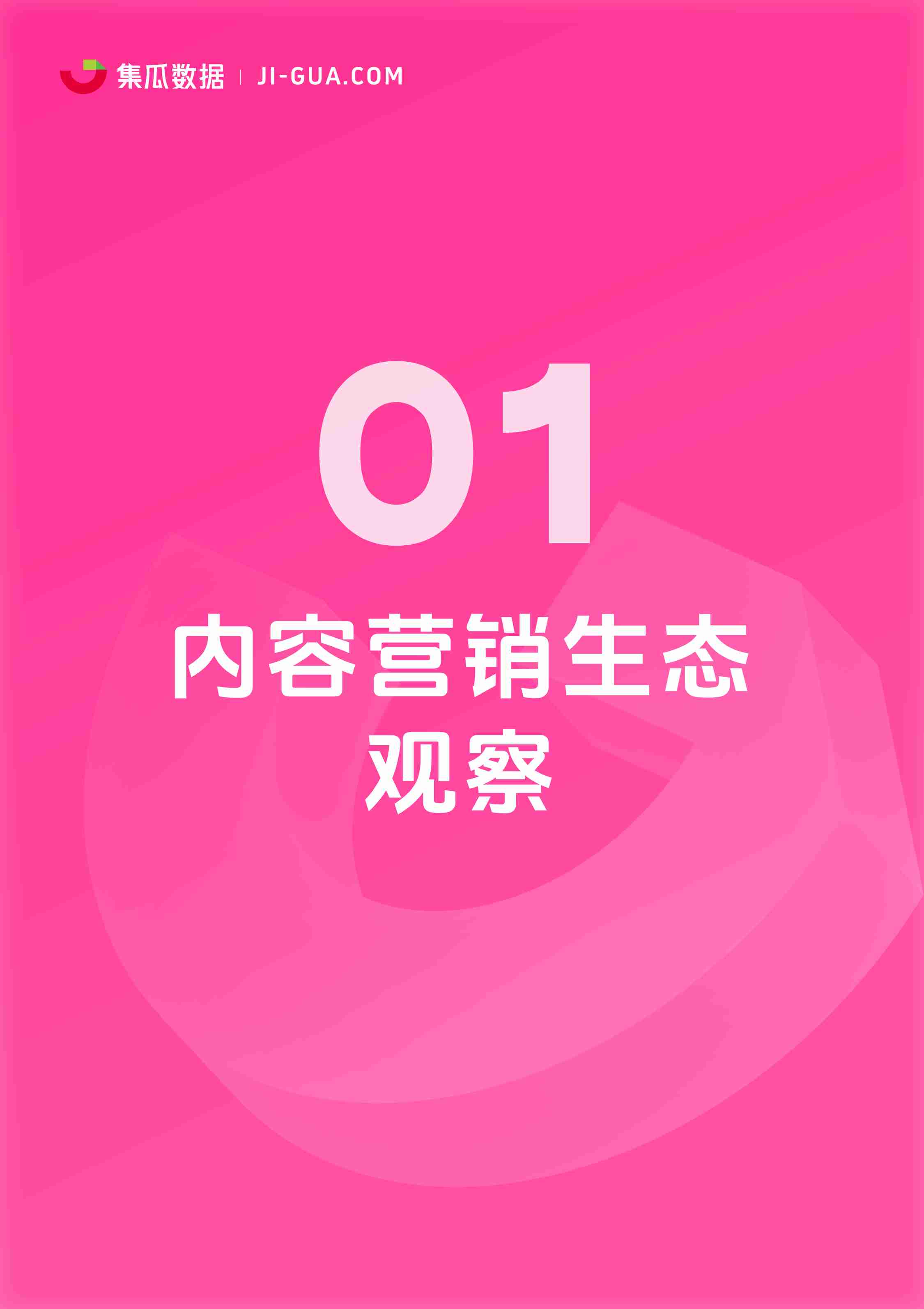 集瓜数据：2024社交媒体营销趋势观察报告.pdf-3-预览