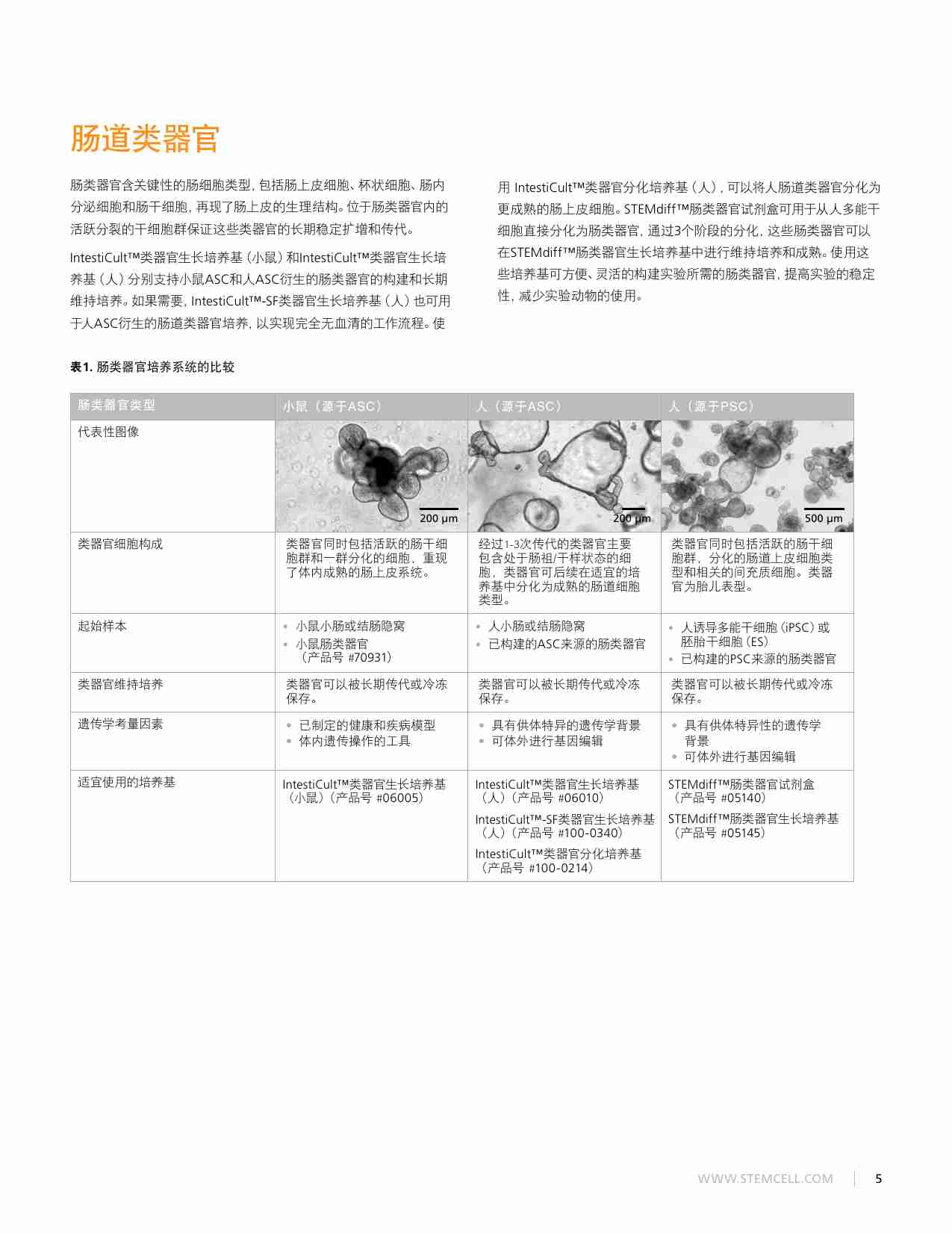 类器官-高效的类器官培养基及分化试剂盒.pdf-4-预览