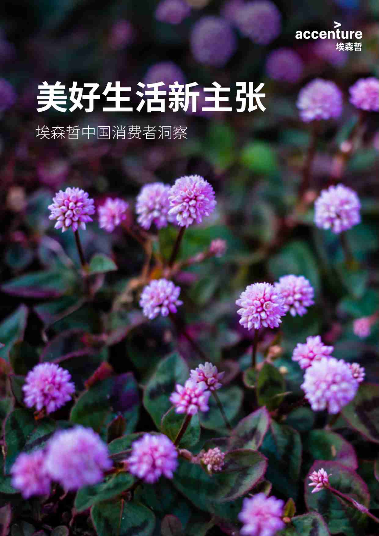 埃森哲 美好生活新主张——中国消费者洞察 2025.pdf-0-预览