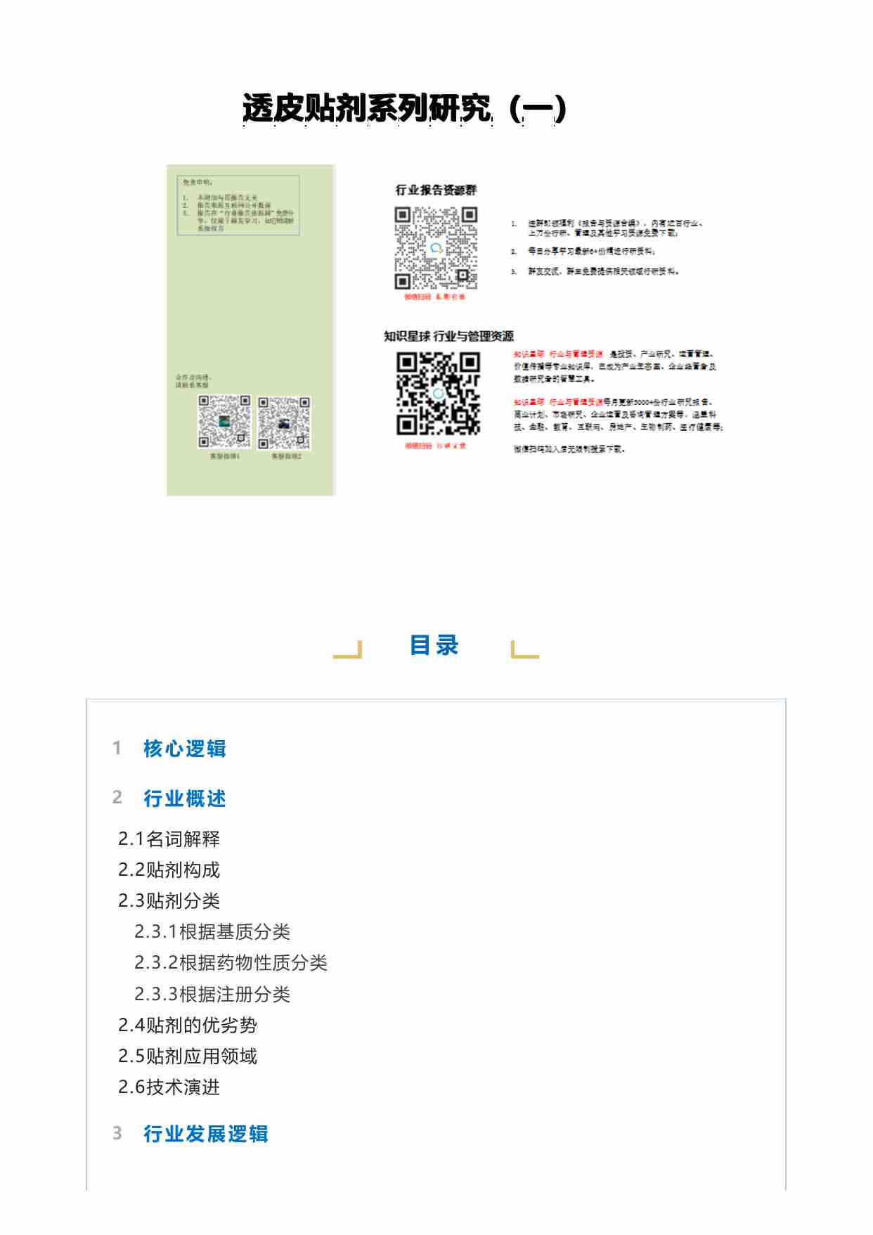 医疗-透皮贴剂系列研究.pdf-0-预览