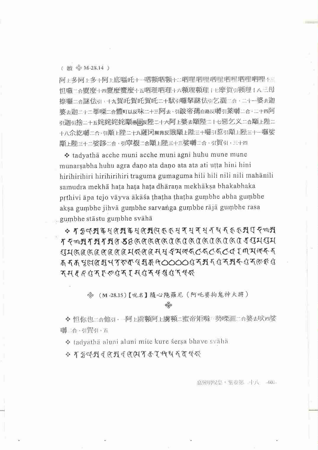 释教最上乘秘密藏陀罗尼集（大元帅陀罗尼）林光明编著.pdf-4-预览