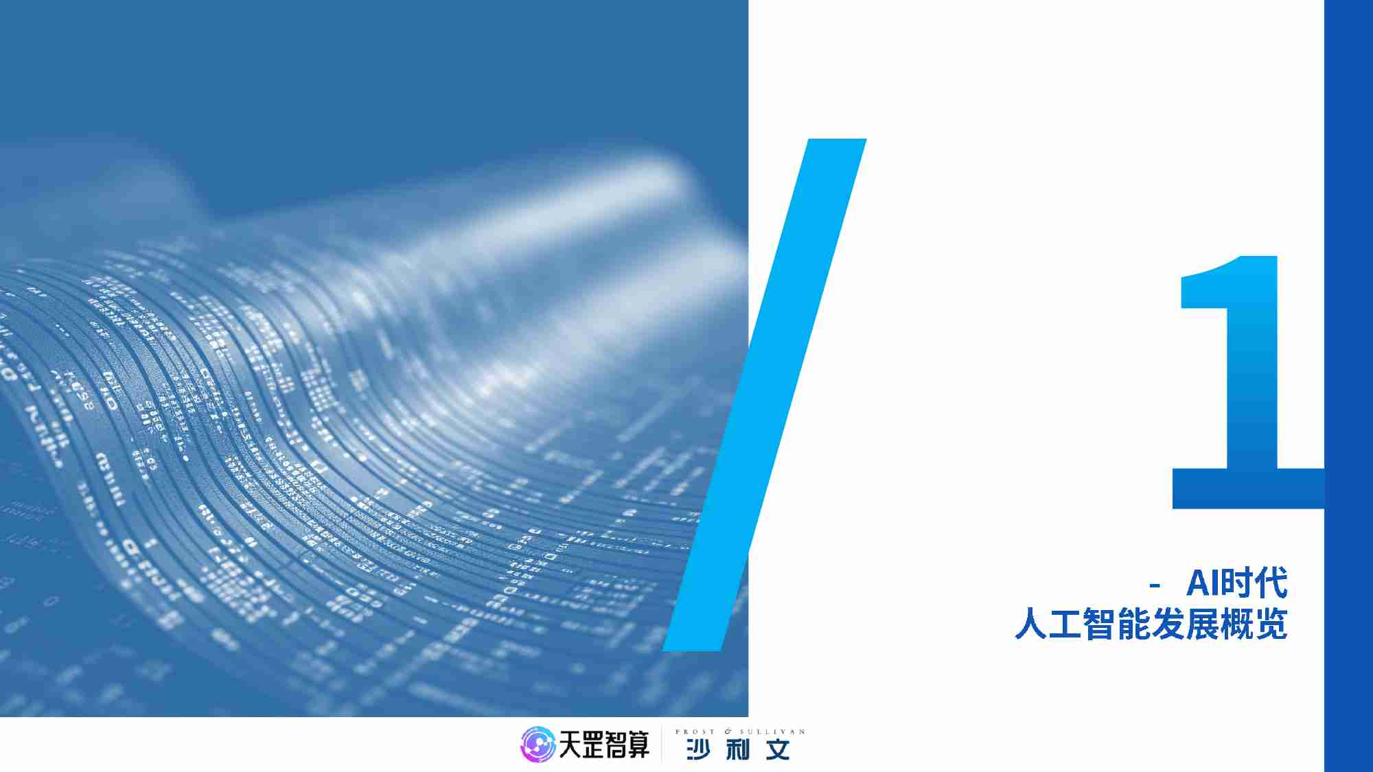 沙利文：2024年中国智能算力行业白皮书.pdf-4-预览