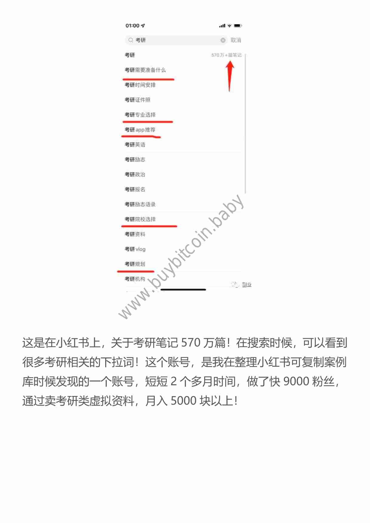 （干货）分享一个副业卖虚拟资料，月入过万！.pdf-2-预览