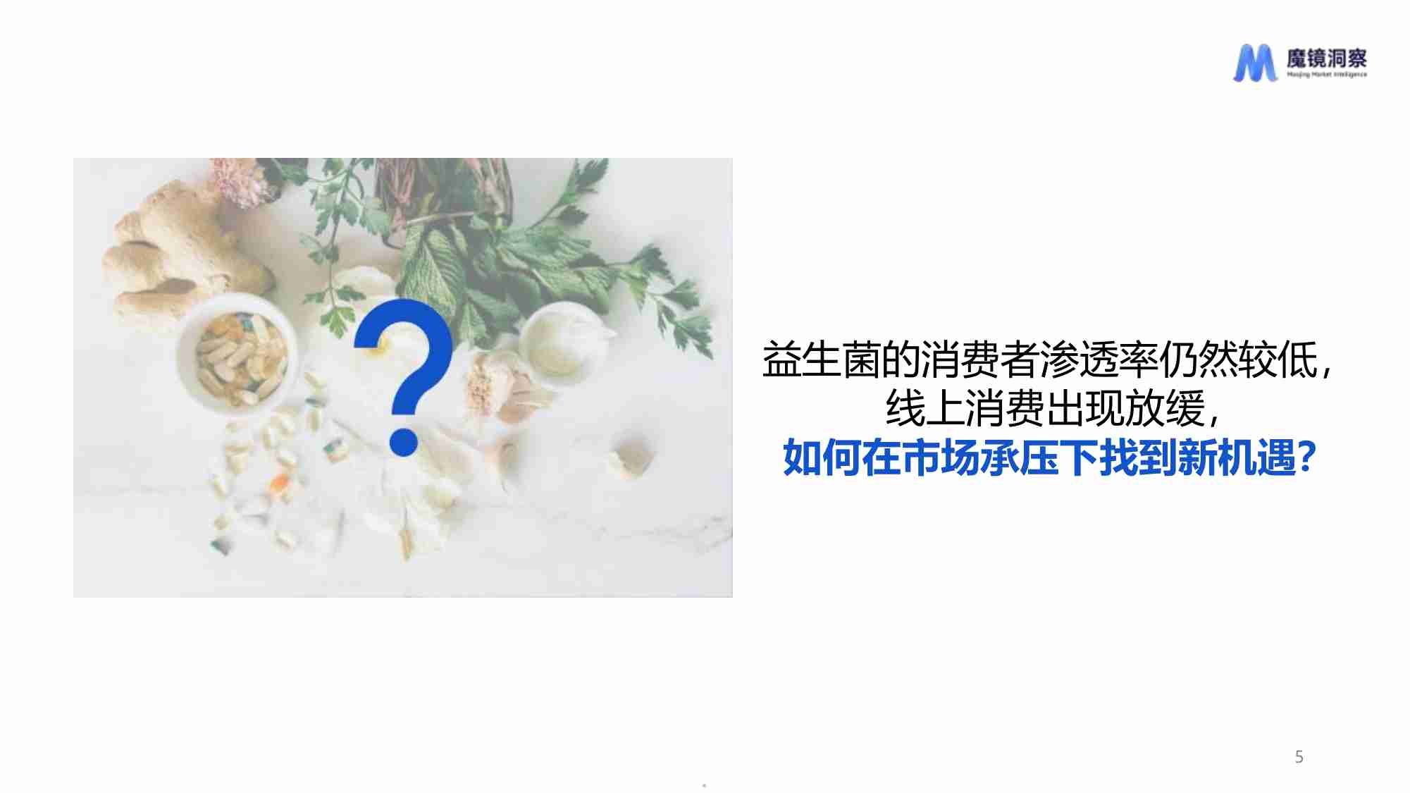 魔镜洞察2024从电商数据看益生菌市场发展趋势报告23页.pdf-4-预览