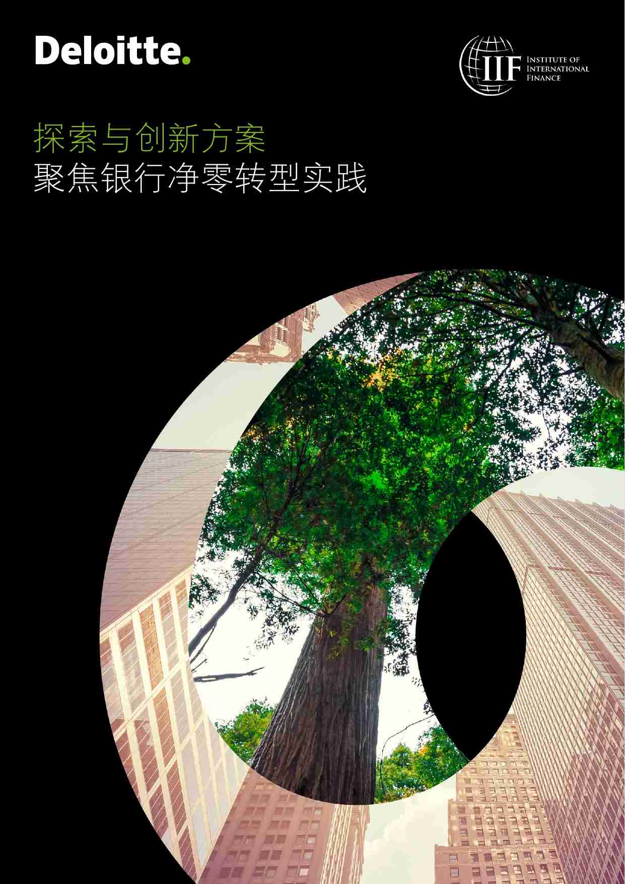 探索与创新方案——聚焦银行净零转型实践 2024 -德勤.pdf-0-预览