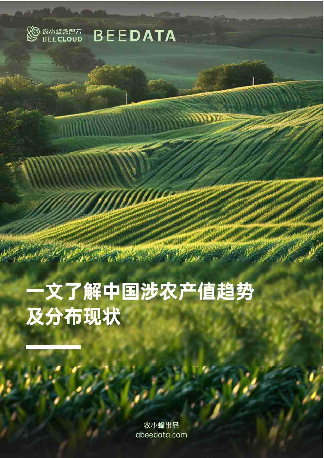 一文了解中国涉农产值趋势及分布现状 202407.pdf-0-预览