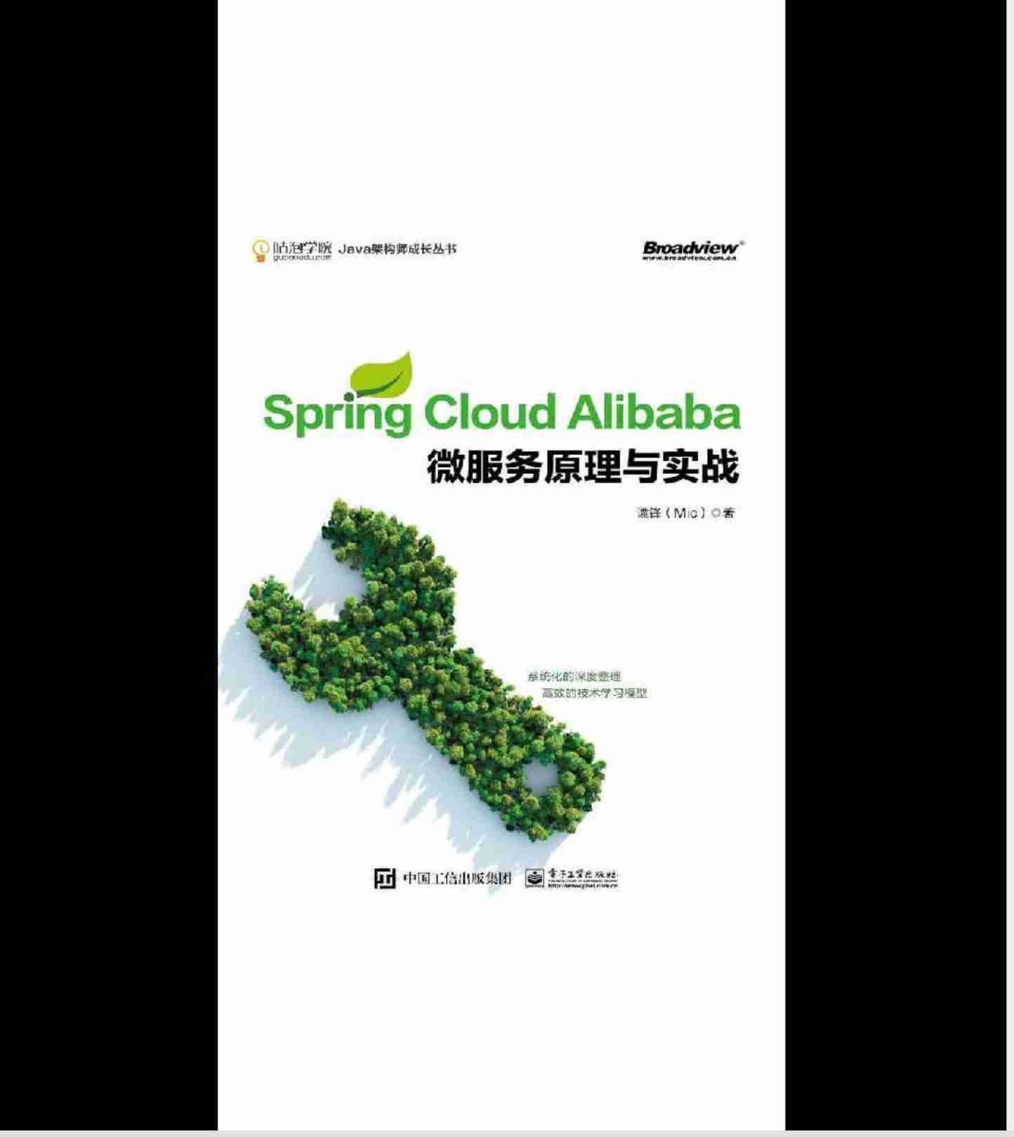 Spring Cloud Alibaba 微服务原理与实战.pdf-0-预览