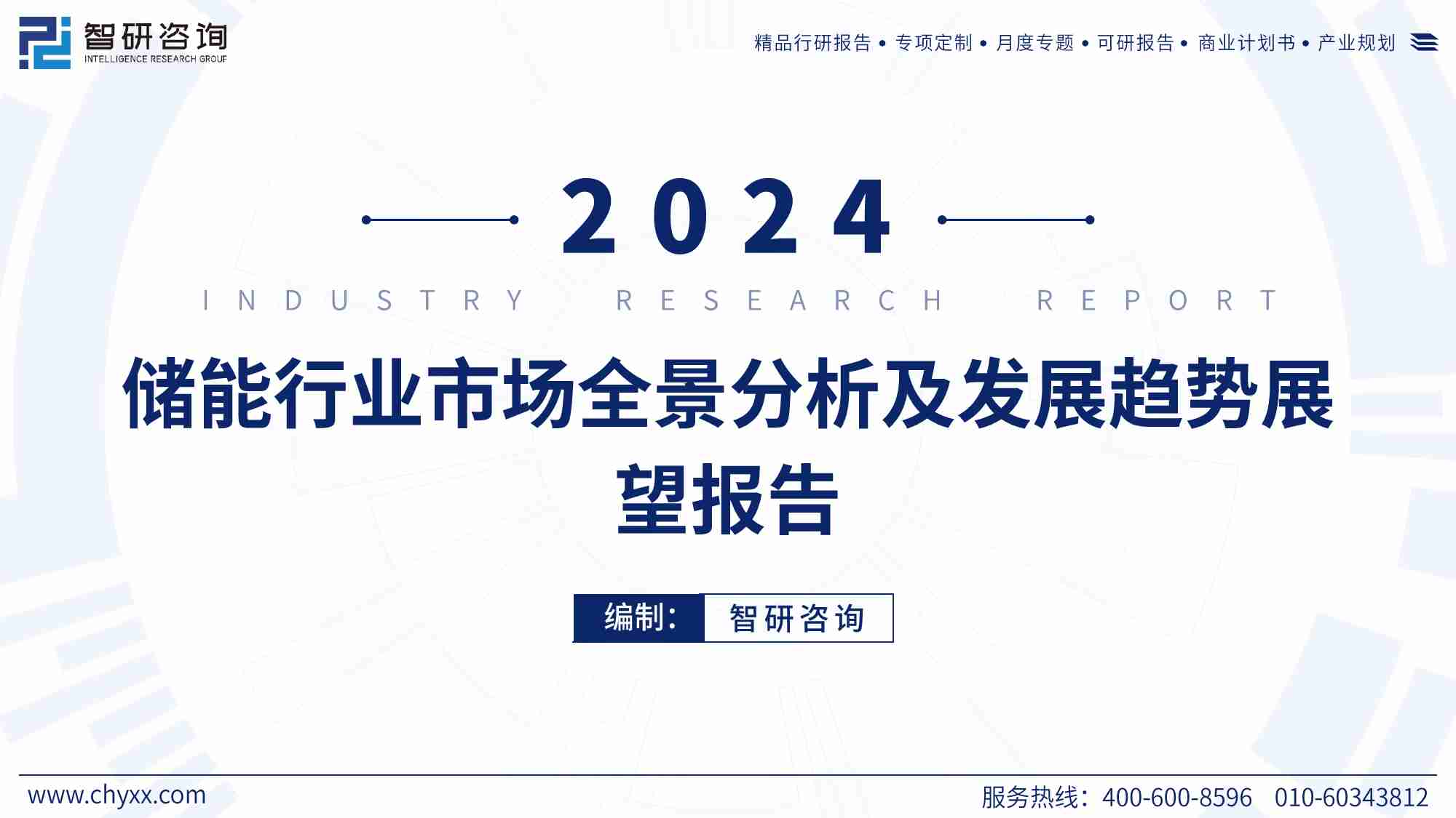 2024年储能行业市场全景分析及发展趋势展望报告.pdf-0-预览