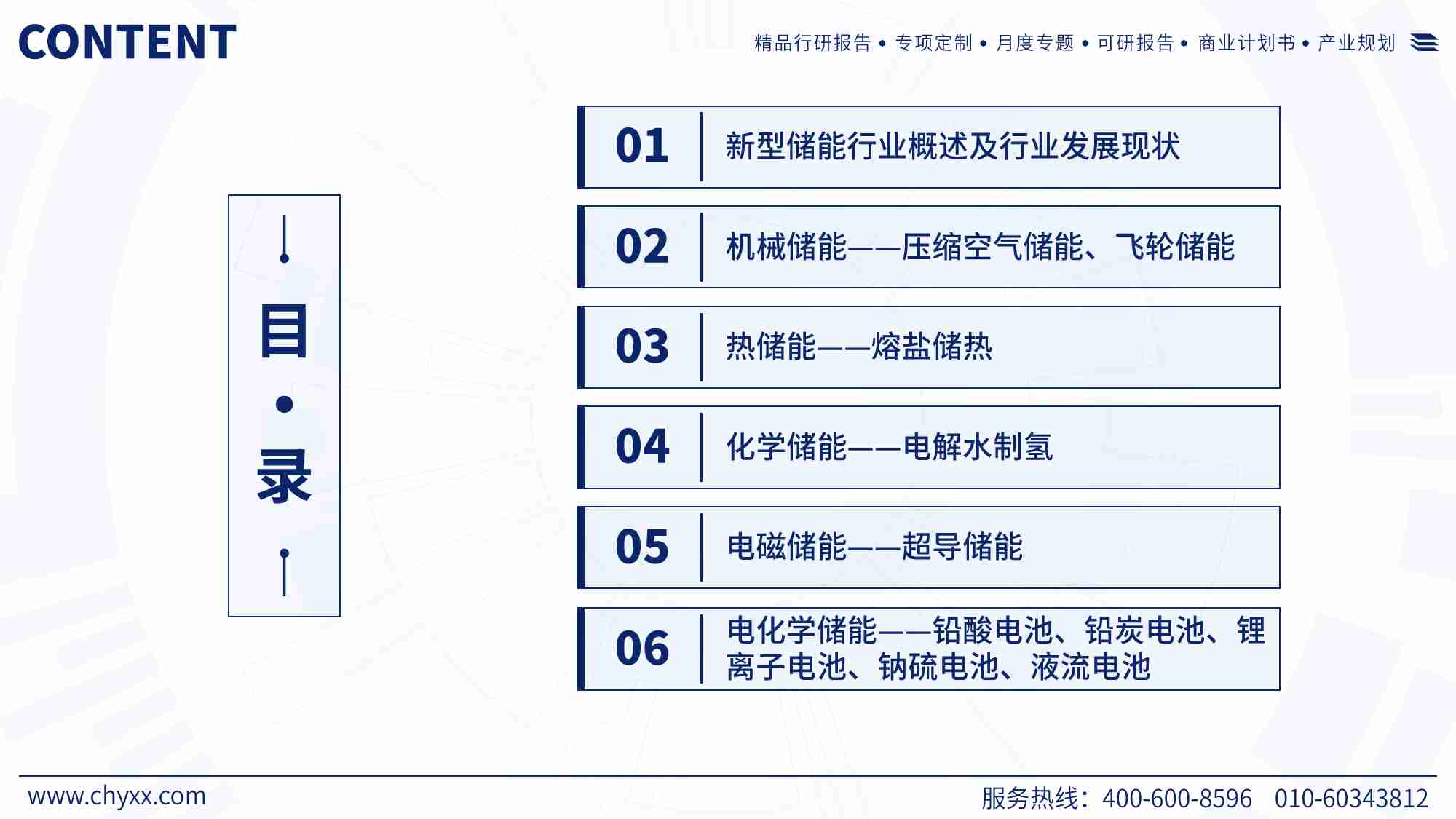 2024年储能行业市场全景分析及发展趋势展望报告.pdf-1-预览