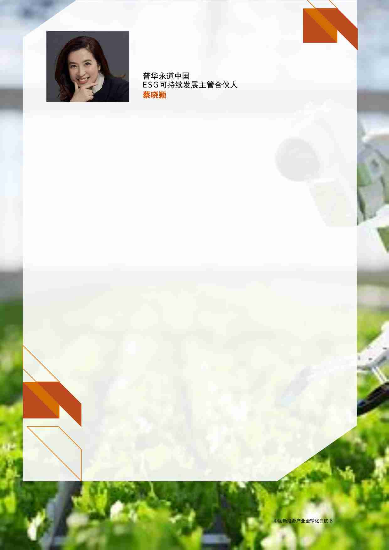 中国新能源产业全球化白皮书 2024.pdf-1-预览