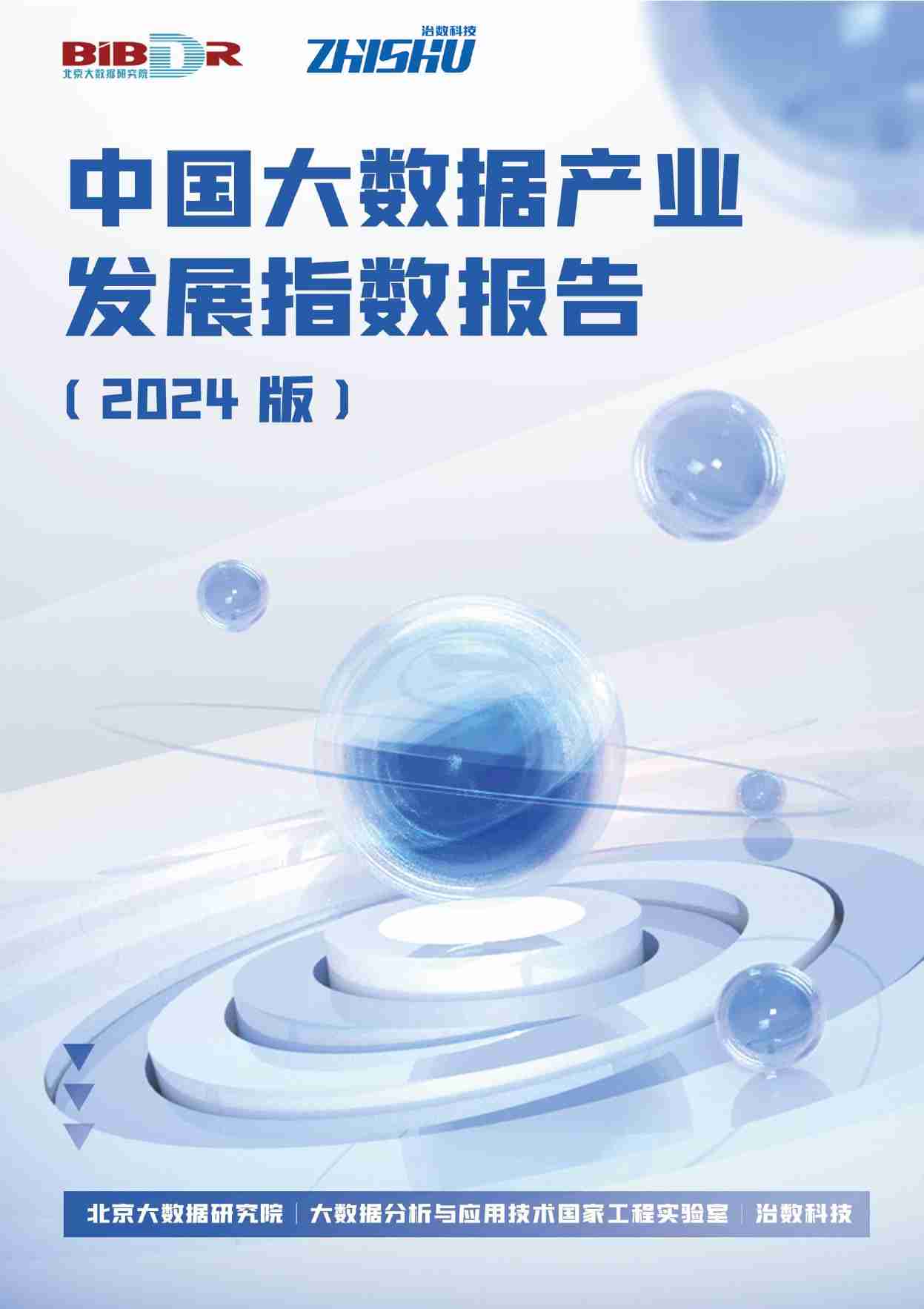 北京大数据研究院：中国大数据产业发展指数报告（2024版）.pdf-0-预览