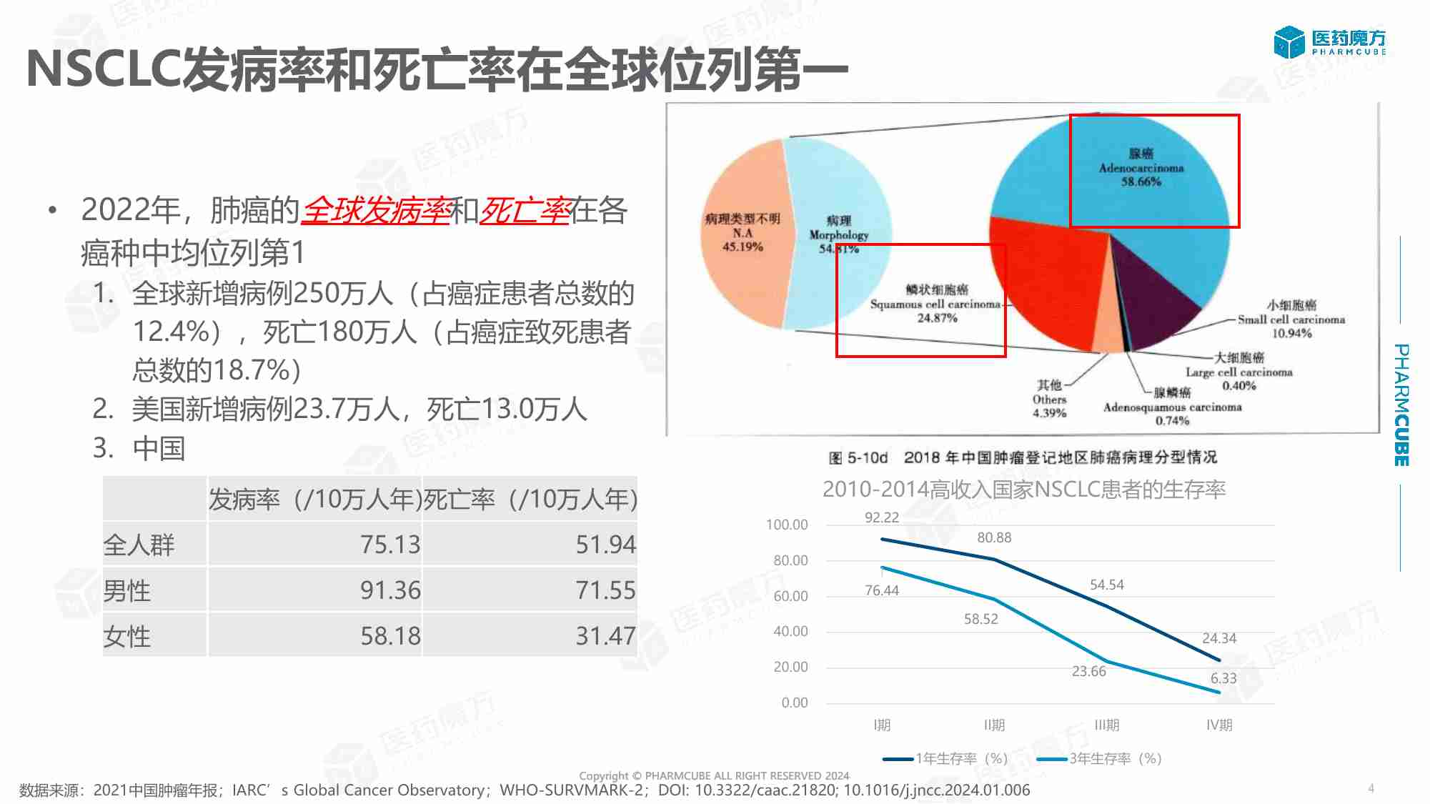 DeepMed临床指南-2024非小细胞肺癌临床指南洞察报告-44页.pdf-3-预览