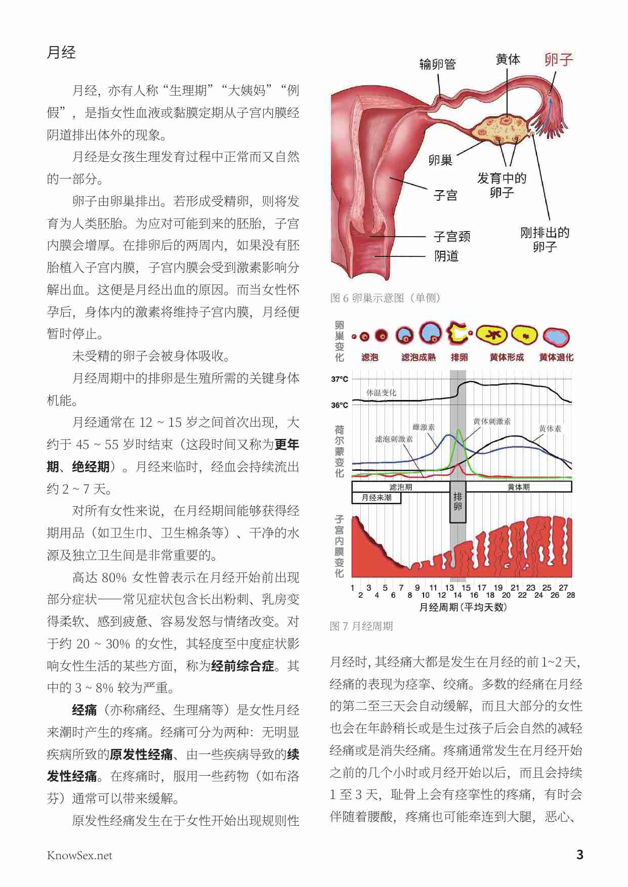 人类生殖系统.pdf-2-预览