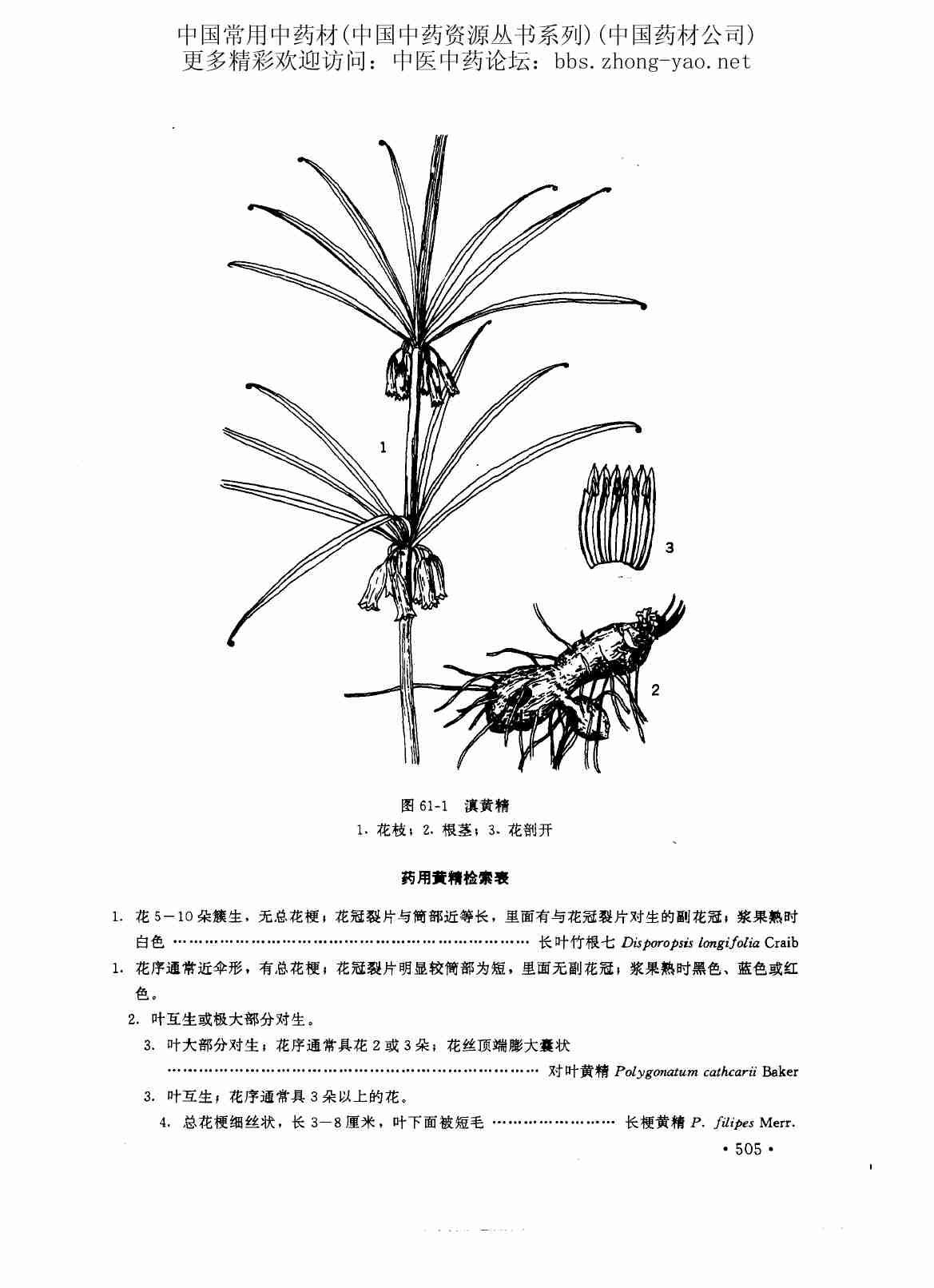 中国中药资源丛书系列 — 中国常用中药材（下）（中国药材公司 编）.pdf-2-预览