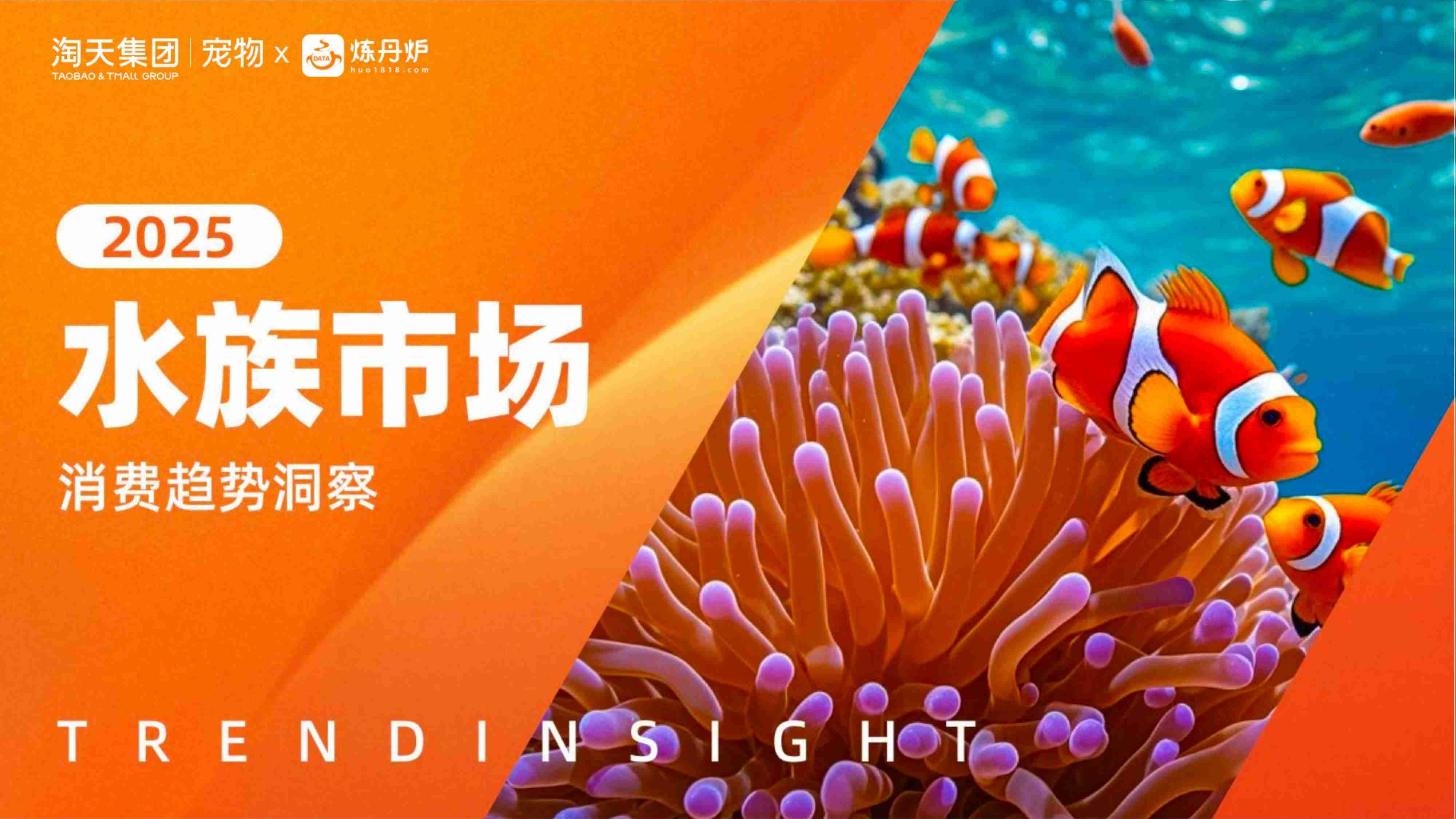 2025水族市场消费趋势洞察.pdf-0-预览