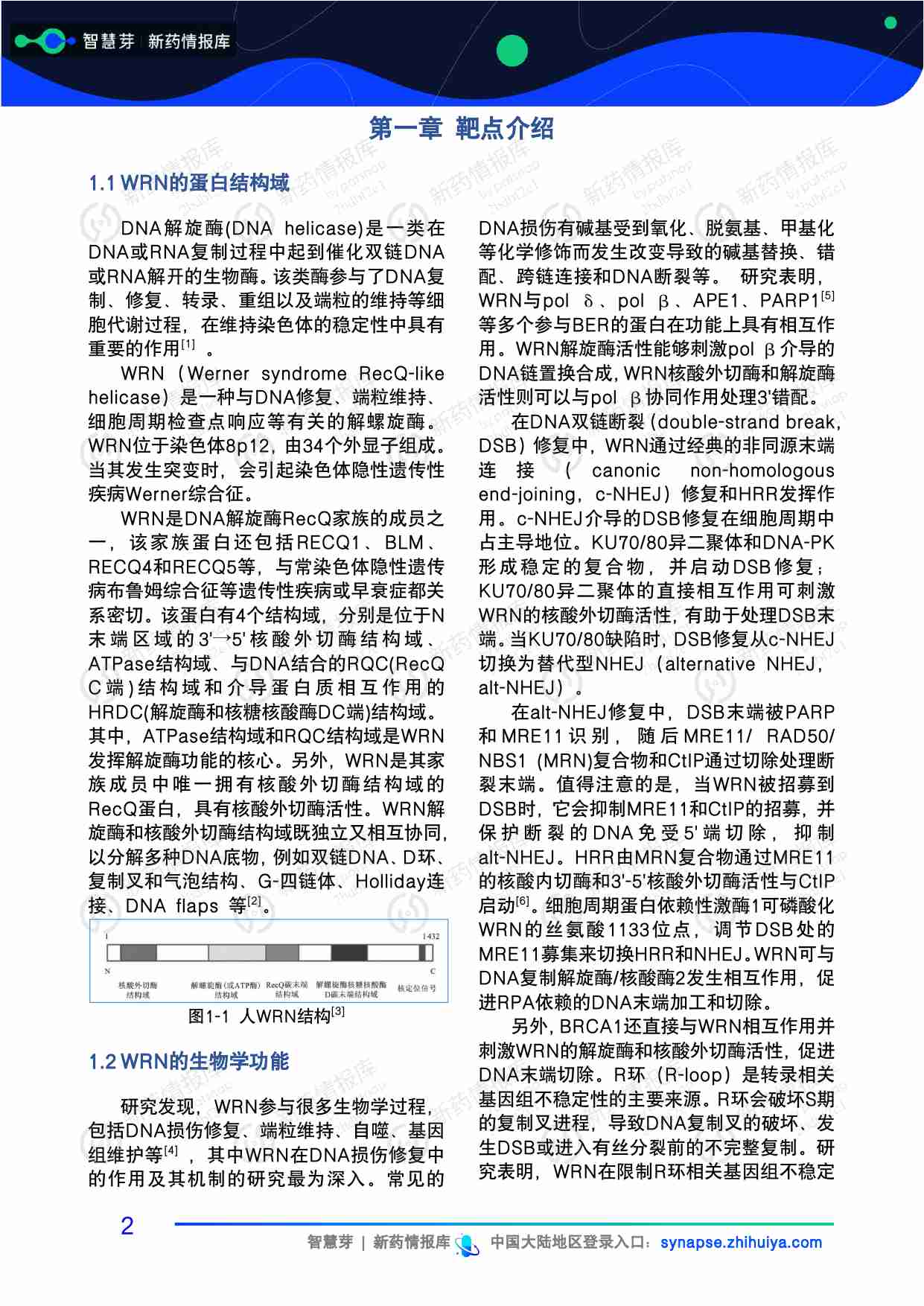 医药 -WRN抑制剂药物管线及专利调研报告 2023.pdf-4-预览